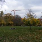 Falkplatz im Herbst Falkplatz im Herbst