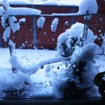 Richtiger Winter in Berlin Richtiger Winter in Berlin